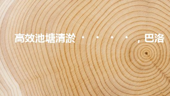 高效池塘清淤，巴洛仕設(shè)備助您一臂之力